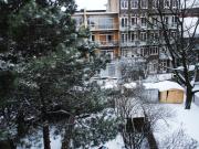 Snow in Winter Amsterdam