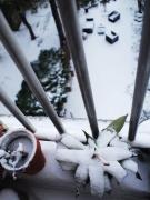 Snow in Winter Amsterdam #2