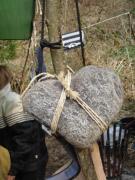 heart of the rainbow gathering