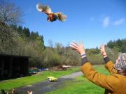 Cultural Rehabilitation Internship Center